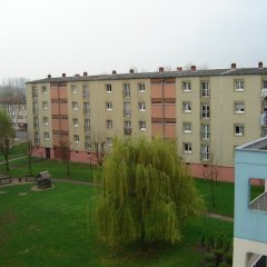 illustration actualite