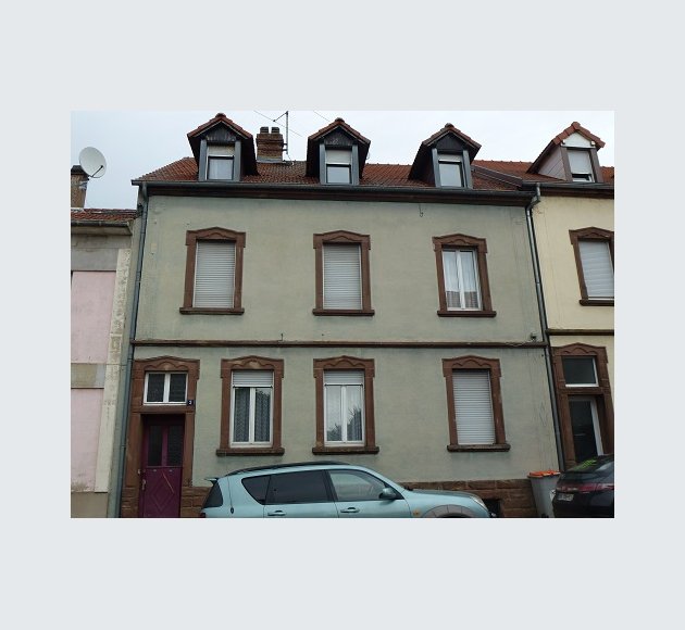 3 SCHAAF