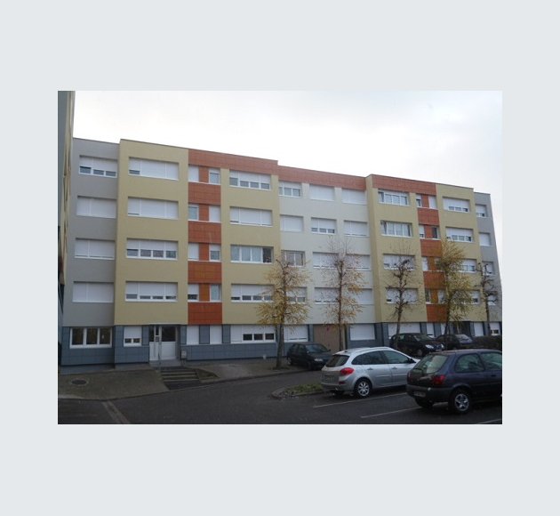 Mésange 2