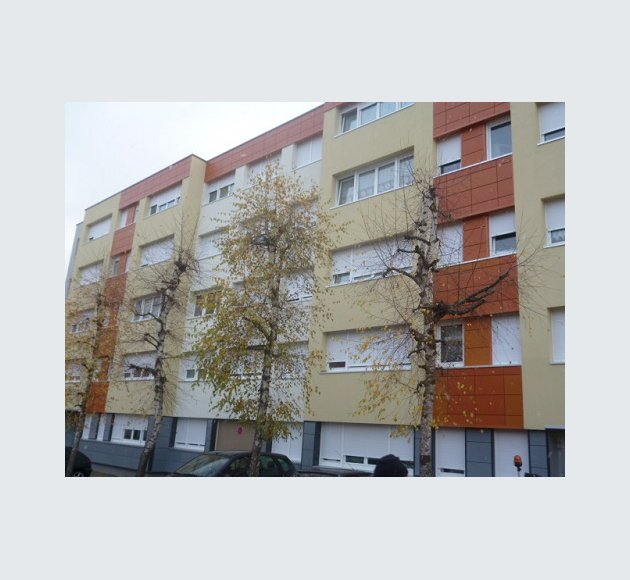 Mésange 2
