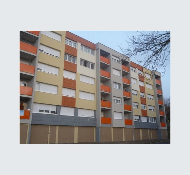 Mésange 2