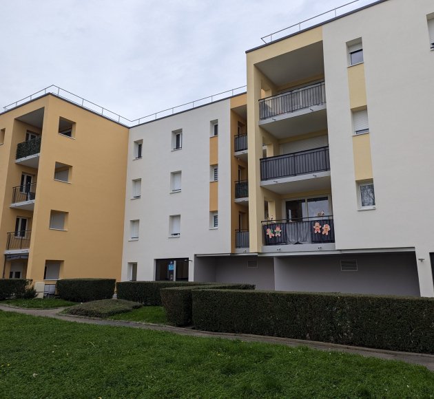 Vieux Chene 2