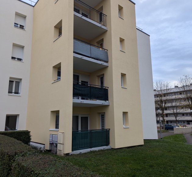 Vieux Chene 2