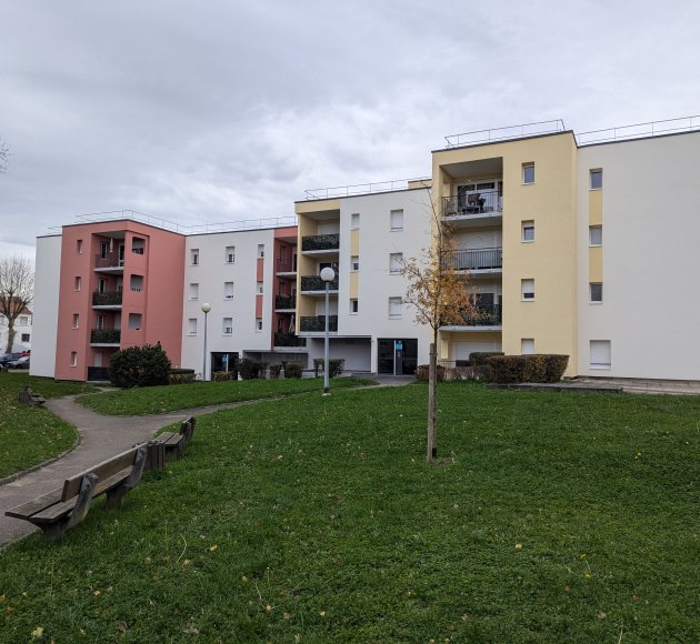 Vieux Chene 2