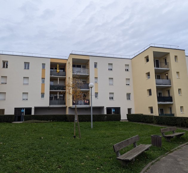 Vieux Chene 2