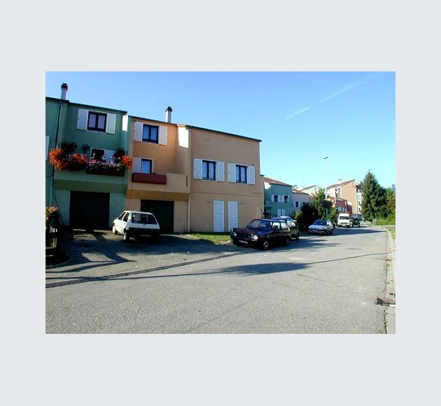 Foret 2 individuels