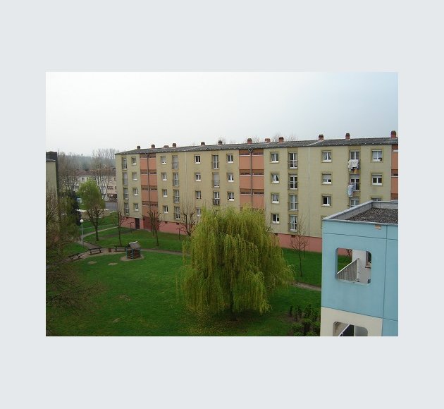 Vieux Chene 1