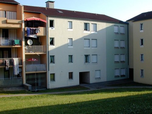 FORET II Collectifs